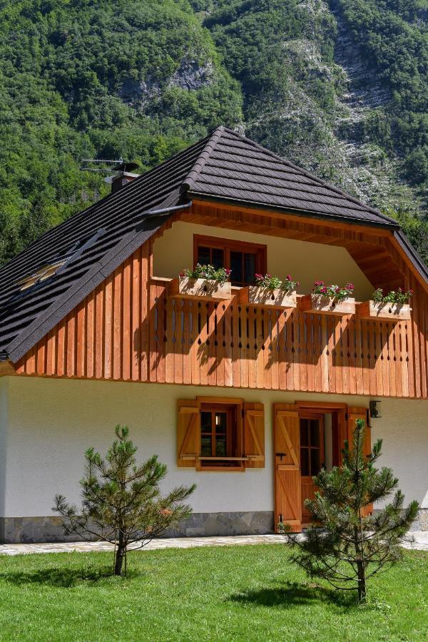 Julian Village Lepena Soča Extérieur photo