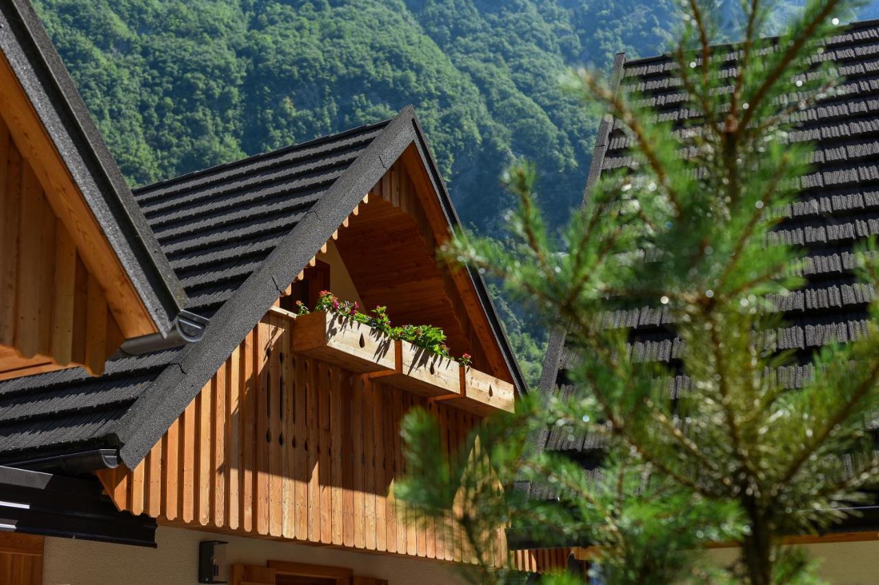 Julian Village Lepena Soča Extérieur photo