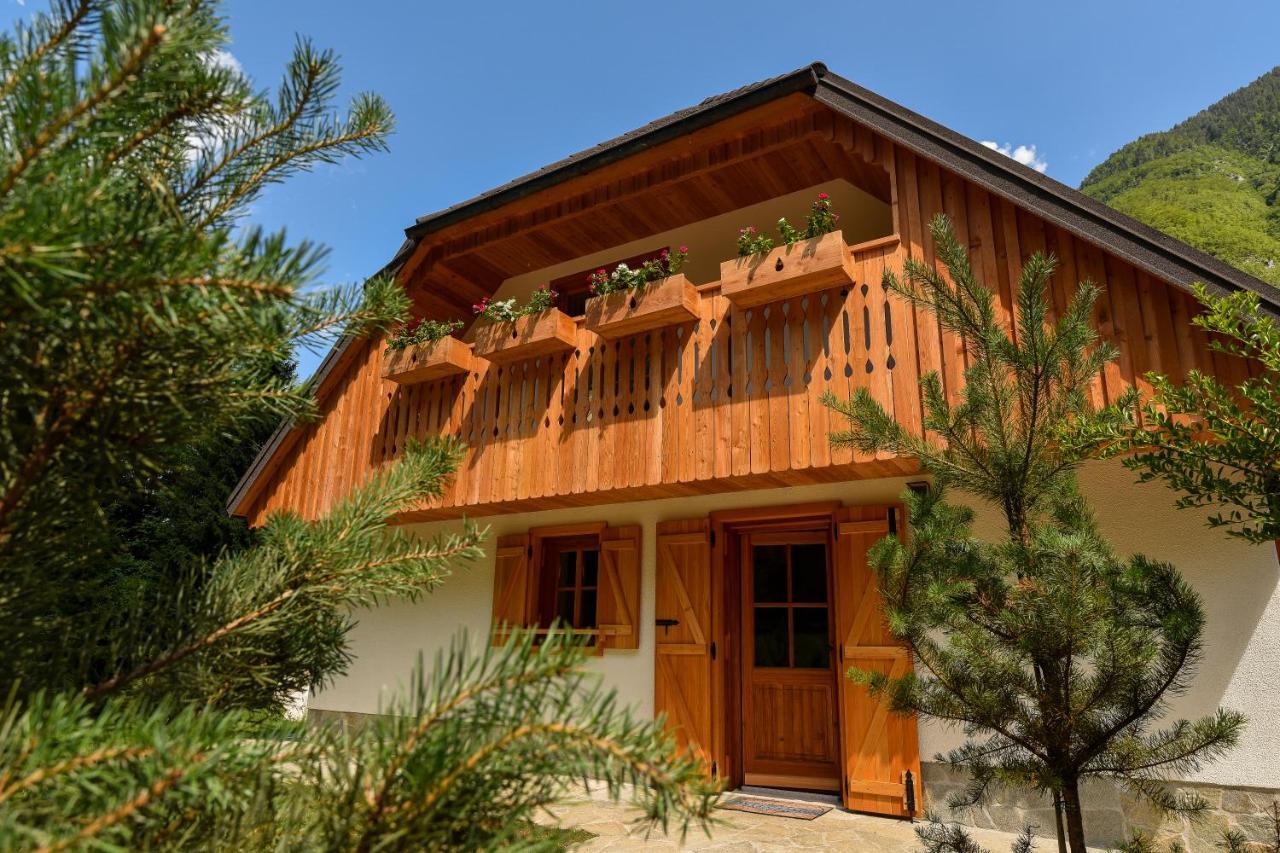 Julian Village Lepena Soča Extérieur photo