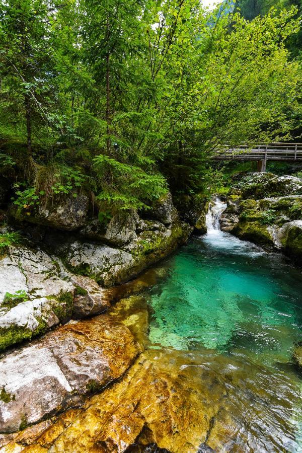 Julian Village Lepena Soča Extérieur photo